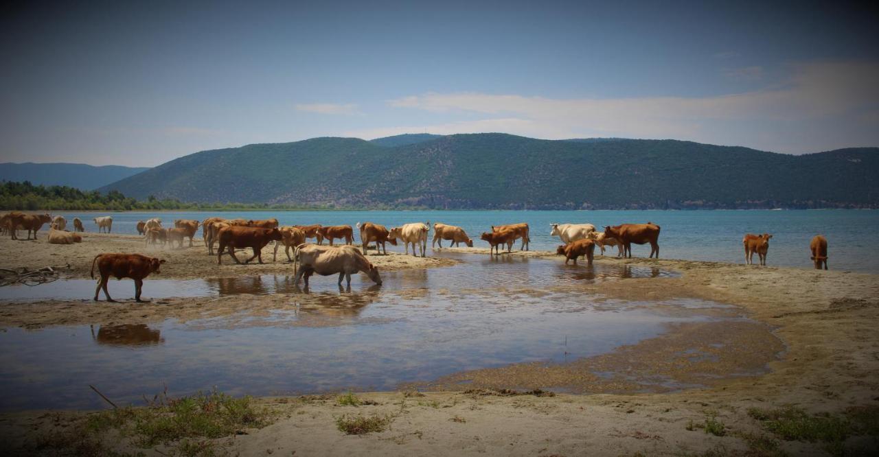 Κιβωτός Έπαυλης Αλέξανδρος Διαμέρισμα Πρέσπες Εξωτερικό φωτογραφία